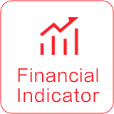  Financial Indicator