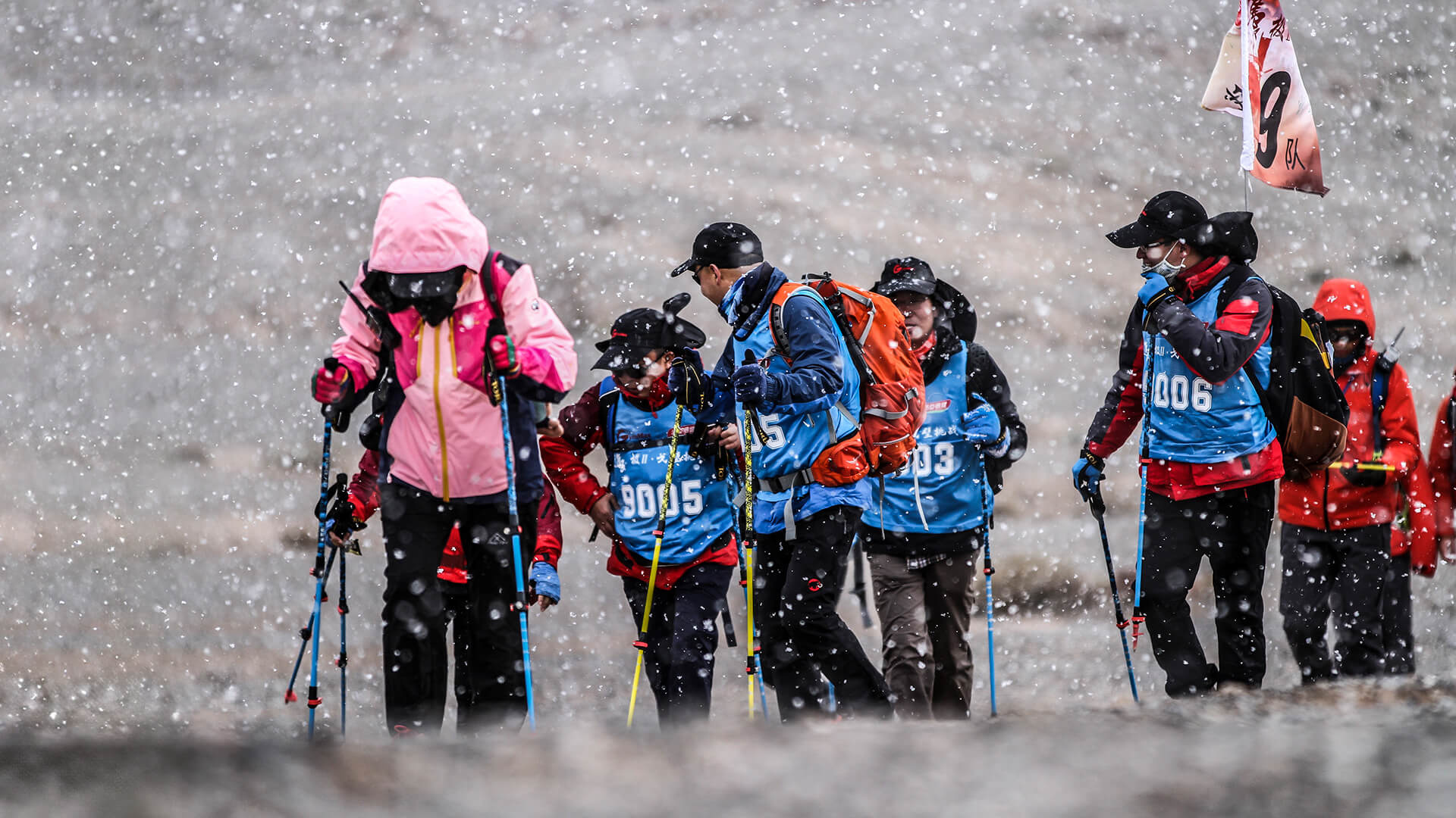 小汤“极”系列活动